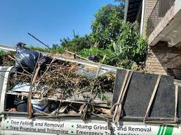 Best Shed Removal  in Independence, LA